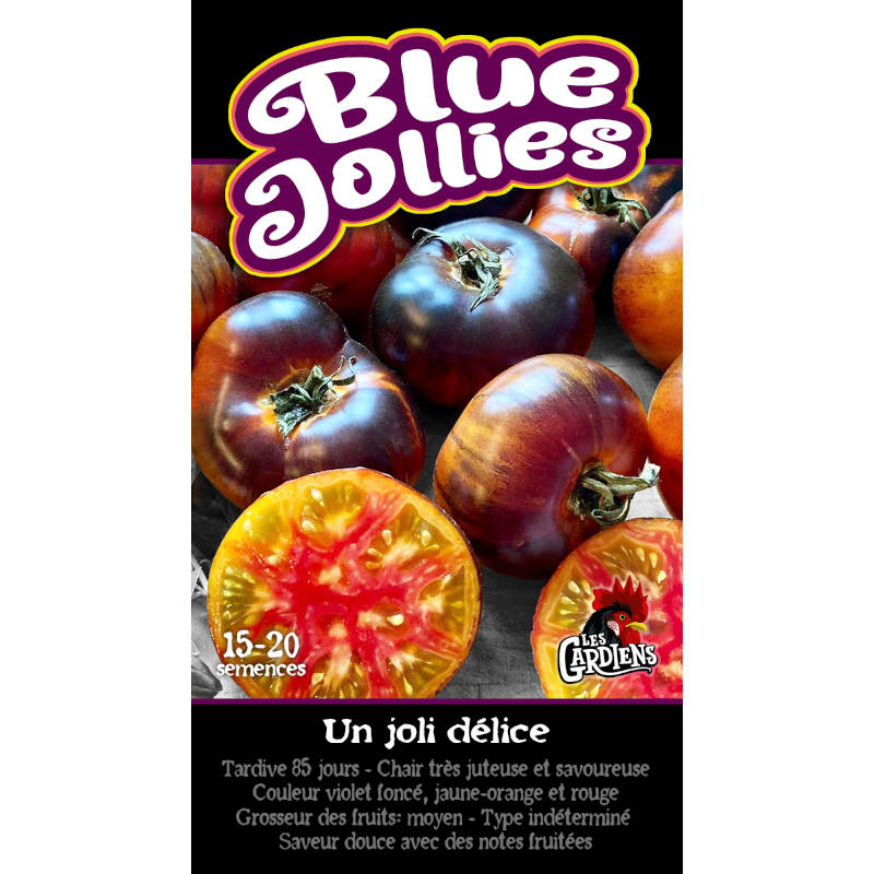 Tomate Blue Jollies