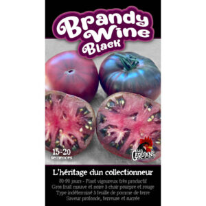 Tomate Brandywine Black