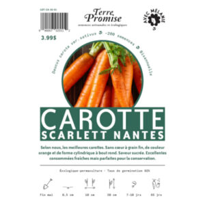 Carotte Scarlett Nantes