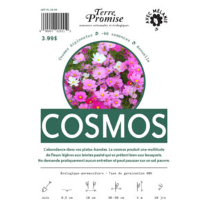 Cosmos