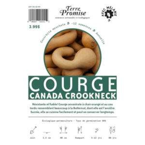 Courge Canada Crookneck