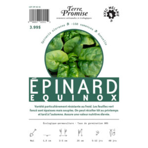 Épinard Equinox