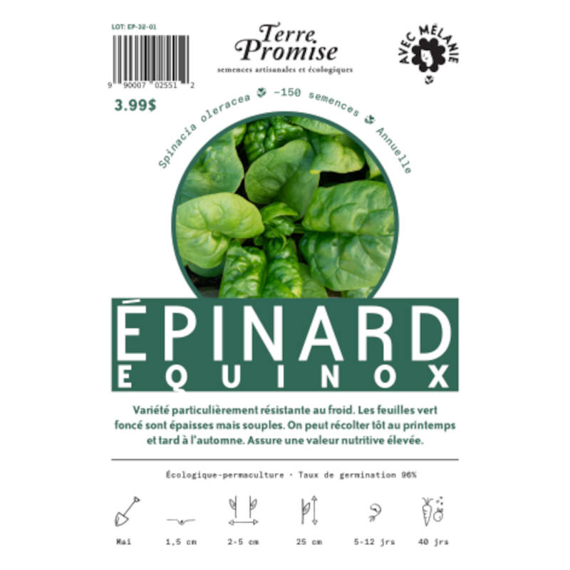 Épinard Equinox