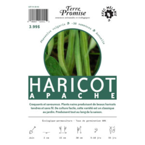 Haricot Apache