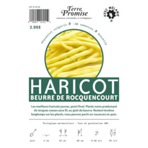 Haricot Beurre de Rocquencourt