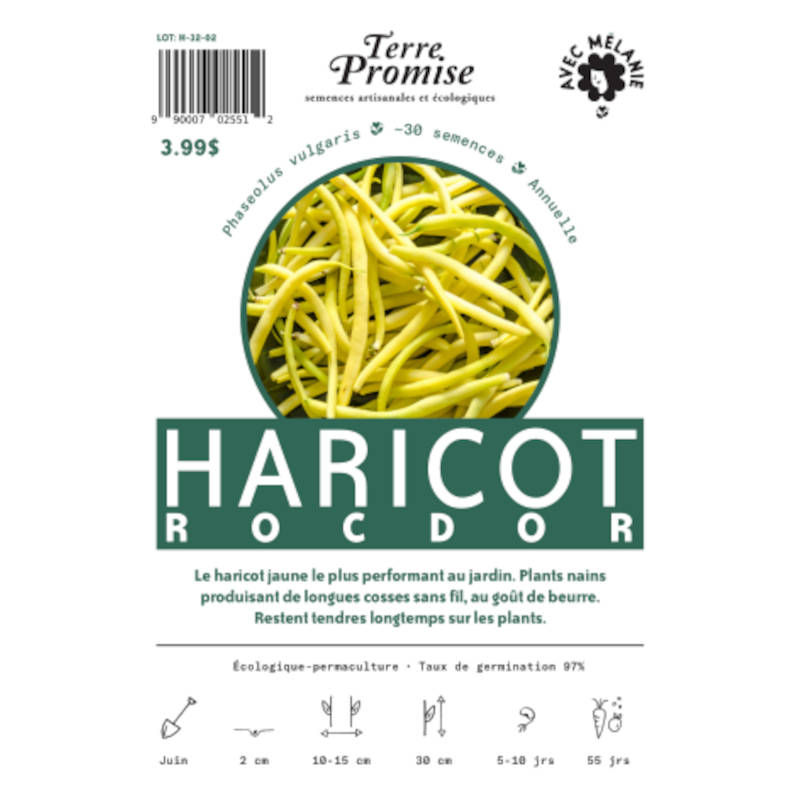 Haricot Rocdor