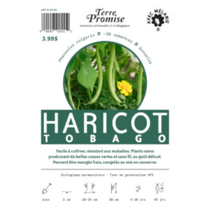 Haricot Tobago