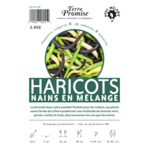 Haricots Nain en Mélange
