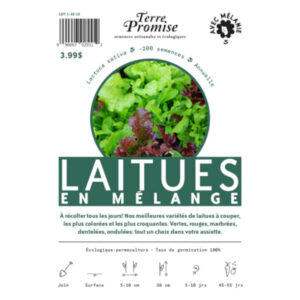 Laitues en Mélange