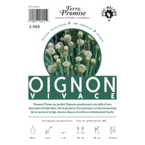 Oignon Vivace