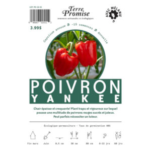 Poivron Yankee
