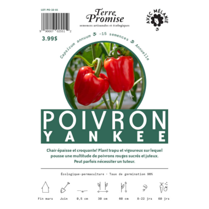 Poivron Yankee