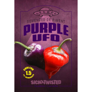 PIment Fort Purple Ufo