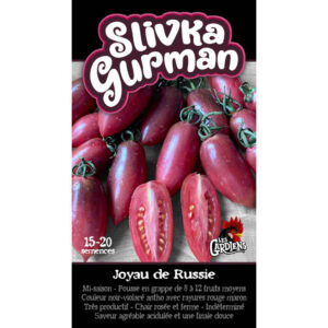 Tomate Slivka Gurman