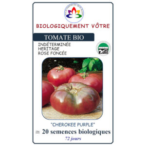 Tomate Cherokee Purple