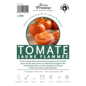 Tomate Jaune Flammée
