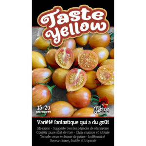 Tomate Taste Yellow