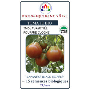 Tomate Japanese Black Trifele