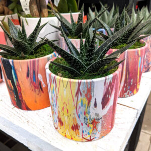 Live Trends Psychedelic