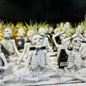 Live Trends Skeleton Yogis