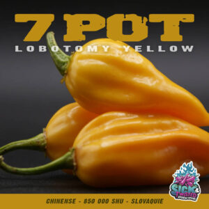 Plant de piment Fort 7 Pot Lobotomy Yellow