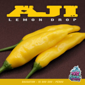 Plant de piment Fort Aji Lemon Drop