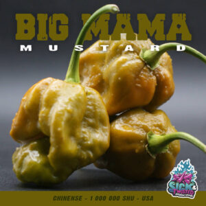 Plant de piment Fort Big Mama Mustard