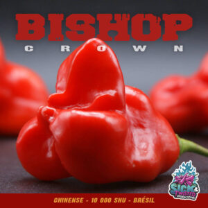 Plant de piment Fort Bishop Crown