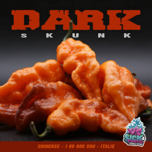 Plant de piment Fort Dark Skunk