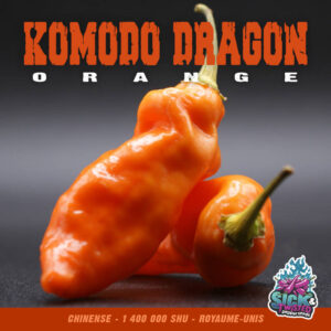 Plant de piment Fort Komodo Dragon Orange
