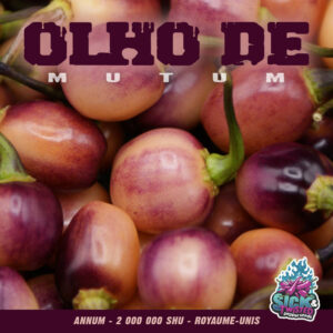 Plant de piment Fort Olho de Mutum