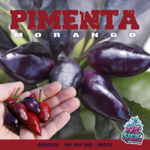 Plant de piment Fort Pimenta Morango