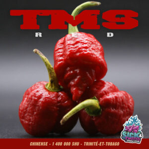 Plant de piment Fort TMS Red