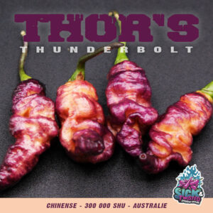 Plant de piment Fort Thor's Thunderbolt